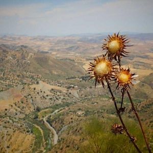 Meet your Posher, Mitchell